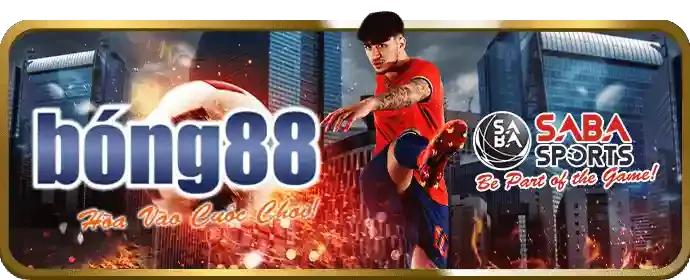 Các tổ chức hỗ trợ cờ bạc